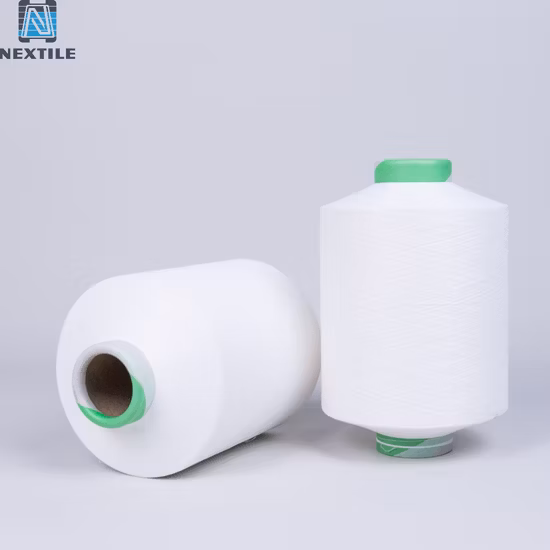 Filato PBT in materiale di cotone imitazione memoria 75D per maglieria
